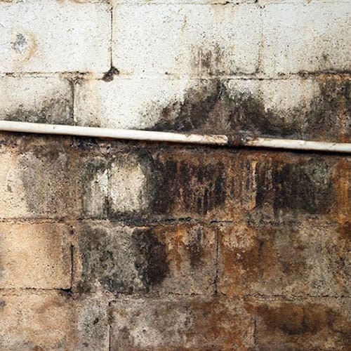 mold-damage-02