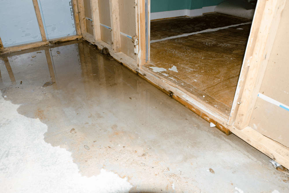 Why-Basements-Flood-First-in-Michigan-Homes-(And-How-to-Stop-It)
