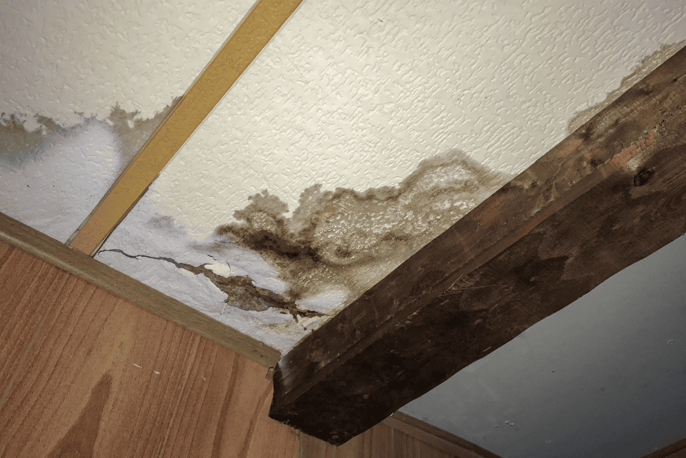 How-Long-Before-Water-Damage-Causes-Mold